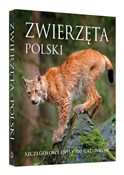 Zwierzęta ... - Joanna dr hab. Kapusta, Kapust -  foreign books in polish 