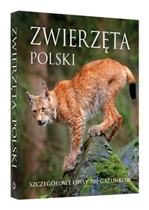 Picture of Zwierzęta Polski Szczegółowe opisy 300 gatunków