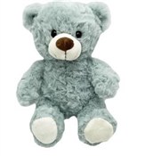 Polska książka : Miś Maciuś...