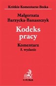 Kodeks Pra... - Małgorzata Barzycka-Banaszczyk -  books in polish 