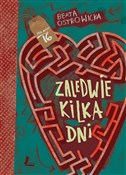 Zaledwie k... - Beata Ostrowicka -  foreign books in polish 