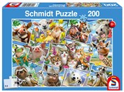Zobacz : Puzzle 200...