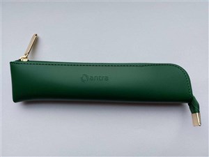 Obrazek Etui 01 zielony