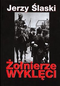 Obrazek Żołnierze wyklęci