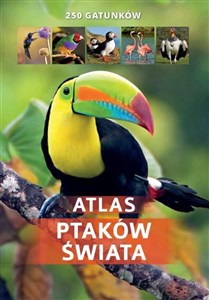 Picture of Atlas ptaków świata 250 gatunków/SBM
