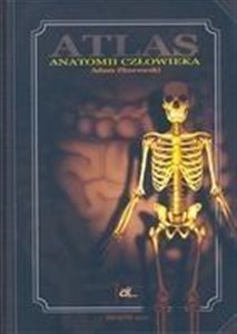 Picture of Atlas anatomii człowieka