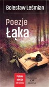 Poezje Łąk... - Bolesław Leśmian -  Książka z wysyłką do UK