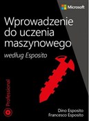 Polska książka : Wprowadzen... - Esposito Dino, Esposito Francesco