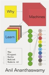 Obrazek Why Machines Learn