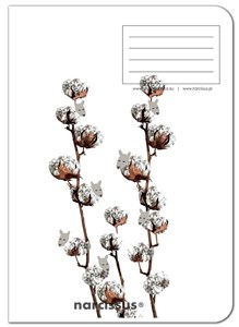 Picture of Zeszyt A4/60K kratka PP Fun Cotton (4szt)