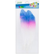 Zobacz : Piórka tęc...