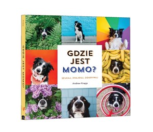 Obrazek Gdzie jest Momo?