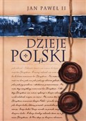 polish book : Dzieje Pol... - Andrzej Zwoliński