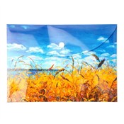 Polska książka : Teczka kop...