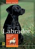 Zobacz : Labrador R... - Heike E. Wagner