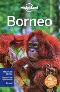 Picture of Lonely planet Borneo