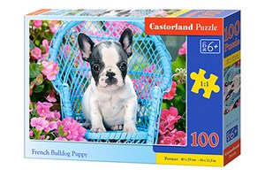 Obrazek Puzzle 100 French Bulldog Pup