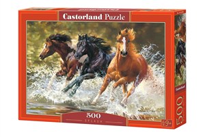 Picture of Puzzle Splash 500 B-52585