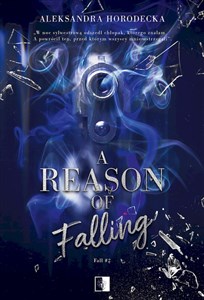 Picture of A Reason of Falling