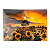 Teczka kop... -  books in polish 