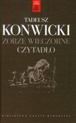 Zorze wiec... - Tadeusz Konwicki -  books from Poland