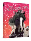 Magiczny k... - Sue Bentley - Ksiegarnia w UK