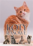 Zobacz : Koty rasow... - Opracowanie Zbiorowe