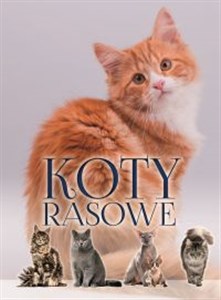 Picture of Koty rasowe