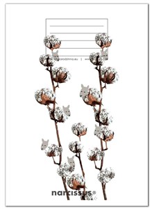 Picture of Zeszyt A5/32K kratka PP Fun Cotton (4szt)