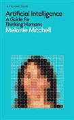 polish book : Artificial... - Melanie Mitchell