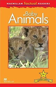 Obrazek Factual: Baby Animals 1+