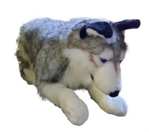 Obrazek Husky 71cm