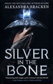 Polska książka : Silver in ... - Alexandra Bracken