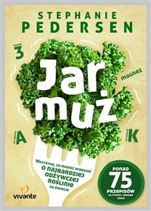 Picture of Jarmuż Wszystko, co musisz wiedzieć o najbardziej odżywczym warzywie na świecie