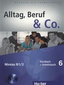 Książka : Alltag Ber... - Norbert Becker, Jorg Braunert