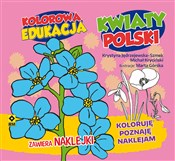 Kolorowa e... - Michał Kryciński, Krystyna Jędrzejewska-Szmek -  books from Poland