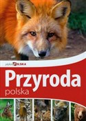 Piękna Pol... - Marek Klimek -  books from Poland