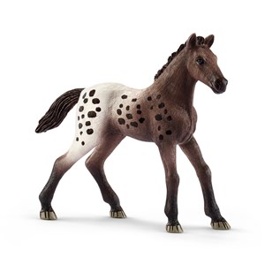 Obrazek Źrebię rasy Appaloosa SLH13862