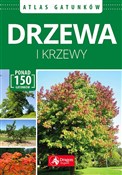 Drzewa i k... - Renata Krzyściak-Kosińska, Marek Kosiński, Łukasz Przybyłowicz -  foreign books in polish 