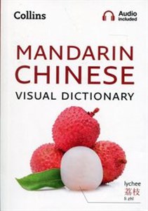 Obrazek Collins Mandarin Chinese Visual Dictionary