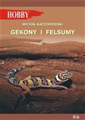Gekony i f... - Michał Kaczorowski -  Polish Bookstore 