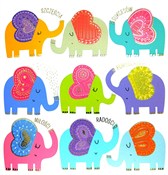 polish book : Karnet KW ...