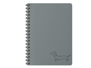 Picture of Kołozeszyt 80k.linia dark gray