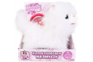 Obrazek Kot chodzący na smyczy