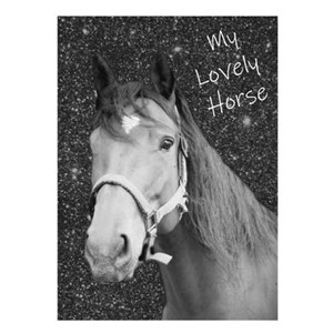 Obrazek Błyszczący pamiętnik Paso Horse