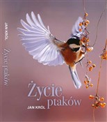 Polska książka : Życie ptak... - Jan Król