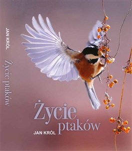 Picture of Życie ptaków