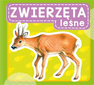 Picture of Zwierzęta leśne
