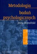 polish book : Metodologi... - Jerzy Brzeziński