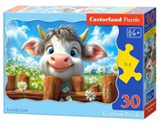 Puzzle 30 ... -  Polish Bookstore 